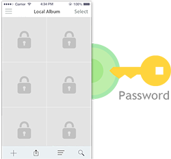 Offline album encryption