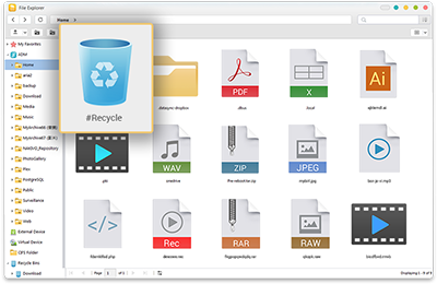 Enhanced Recycle Bin mechanism